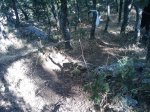 m_IMAGE_060.jpg
