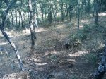 m_IMAGE_063.jpg