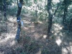 m_IMAGE_065.jpg
