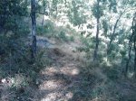 m_IMAGE_066.jpg