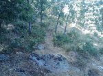 m_IMAGE_067.jpg