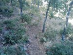 m_IMAGE_068.jpg