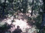 m_IMAGE_070.jpg