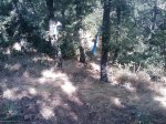 m_IMAGE_071.jpg