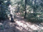 m_IMAGE_072.jpg