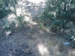 m_IMAGE_074.jpg