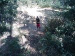 m_IMAGE_075.jpg