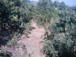 m_IMAGE_078.jpg