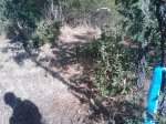 m_IMAGE_079.jpg