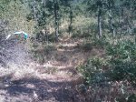 m_IMAGE_080.jpg