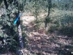 m_IMAGE_081.jpg