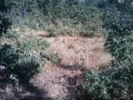 m_IMAGE_082.jpg