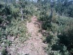 m_IMAGE_087.jpg