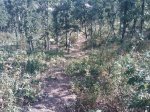 m_IMAGE_088.jpg