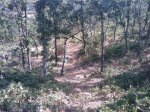 m_IMAGE_089.jpg