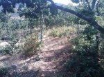 m_IMAGE_090.jpg