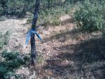 m_IMAGE_091.jpg