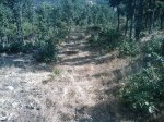 m_IMAGE_092.jpg