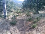 m_IMAGE_098.jpg