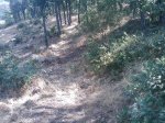 m_IMAGE_099.jpg