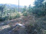 m_IMAGE_103.jpg