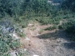 m_IMAGE_105.jpg