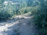 m_IMAGE_114.jpg