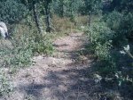 m_IMAGE_116.jpg