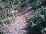 m_IMAGE_117.jpg
