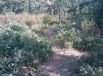 m_IMAGE_120.jpg