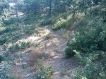 m_IMAGE_122.jpg