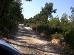 PICT0011.jpg