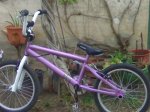 bmx.jpg