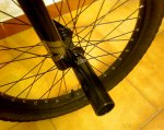 BiciNeko.jpg