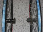 IMG_0575.jpg