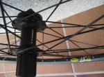 IMG_3158_redimensionar.JPG