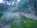 Foto12.JPG