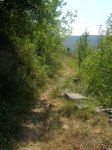 DSCN3896.JPG