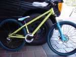 DSC08980-559-100-559-70.jpg