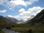 DSC09608.JPG