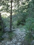 DSC09691.JPG