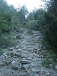 DSC09695.JPG