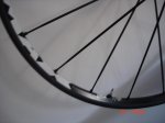 v xtr 005.jpg