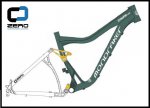 dunega7.jpg