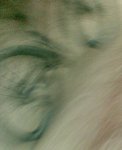 22082008(004)r.jpg