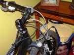 DSC01059.jpg