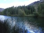 DSC00330 (Large).JPG