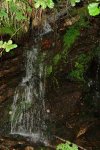 AUGA NA SERRA DO CAUREL.jpg