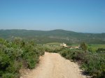 camÃ­.jpg