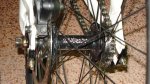 DSC00387.jpg